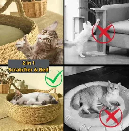 Handmade Pet House ZENDROP