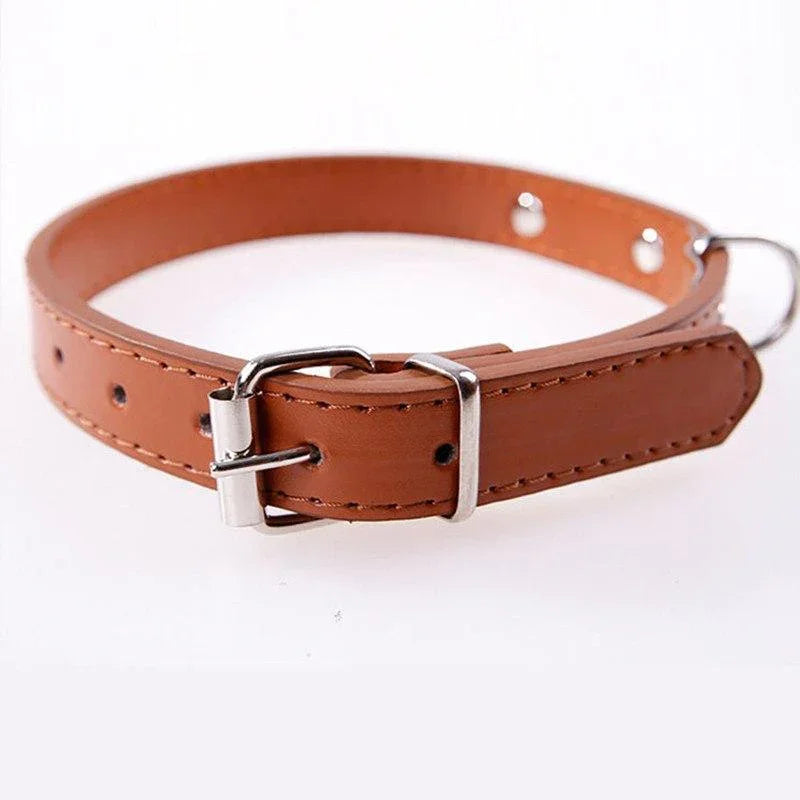 Pets Customised Engraved