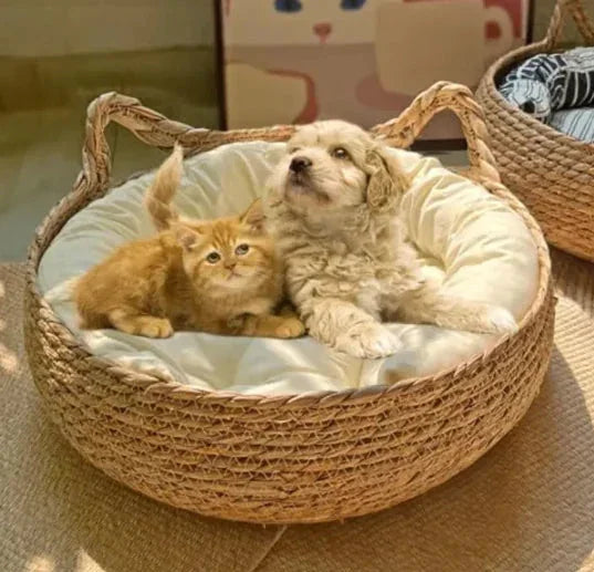 Handmade Pet House ZENDROP