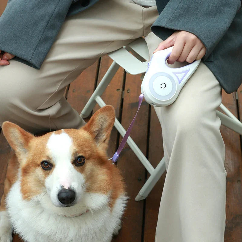 Dog Leash Retractable Leash And Dog Collar Spotlight Automatic Pet Dog Cat Traction Rope For Small Medium Dogs Pet Product CJDROPSHIPPING