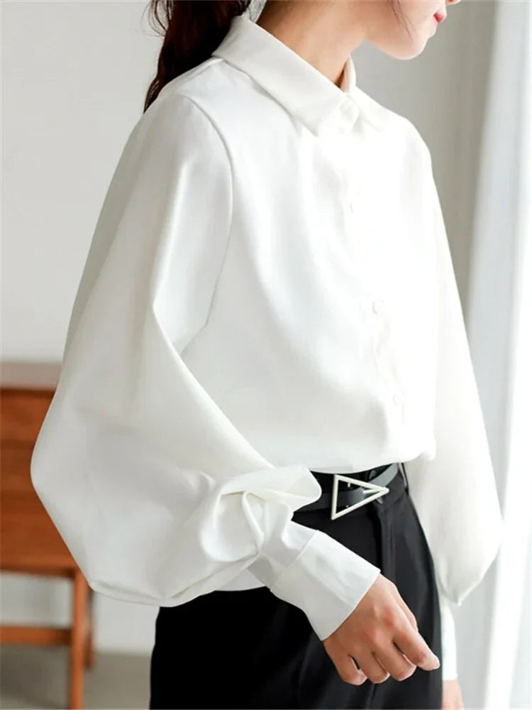Lantern Sleeve casual