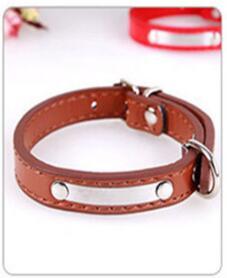 Pets Customised Engraved