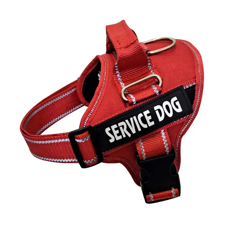 Personalized Pet Chest Strap Products ZENDROP