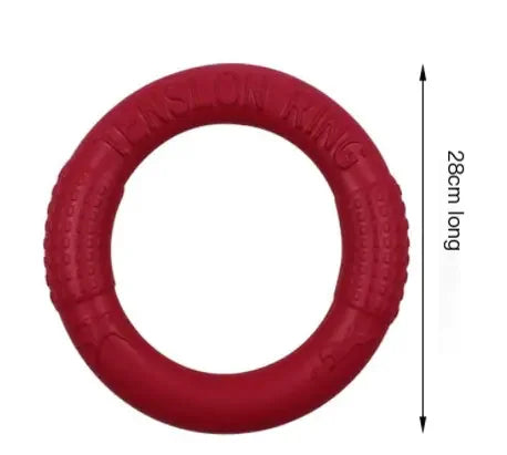 EVA Dog Training Play Ring - Johns Direct