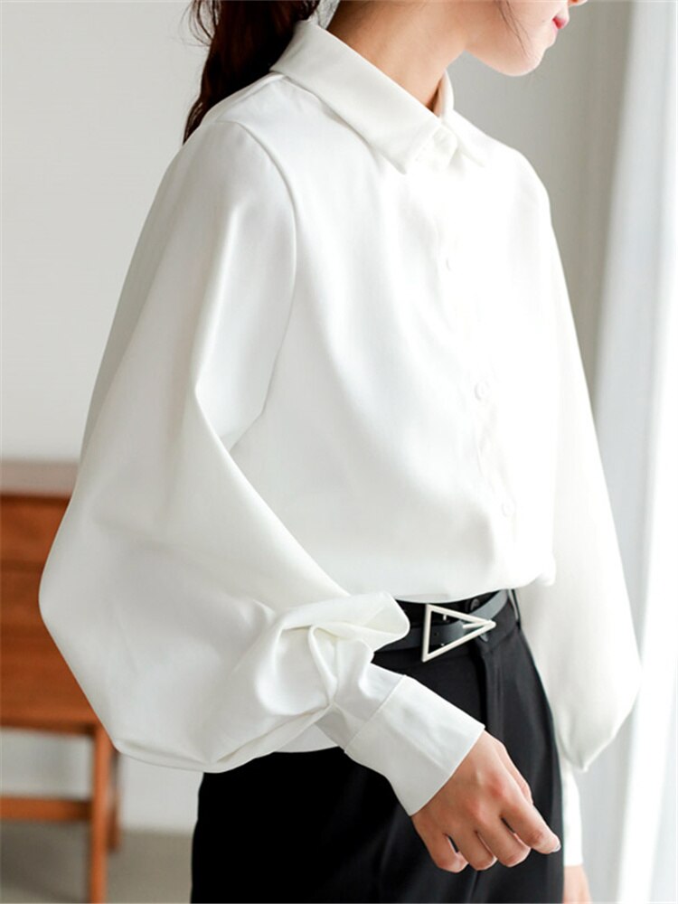 Lantern Sleeve casual