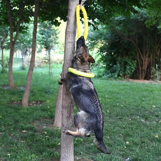 EVA Dog Training Play Ring