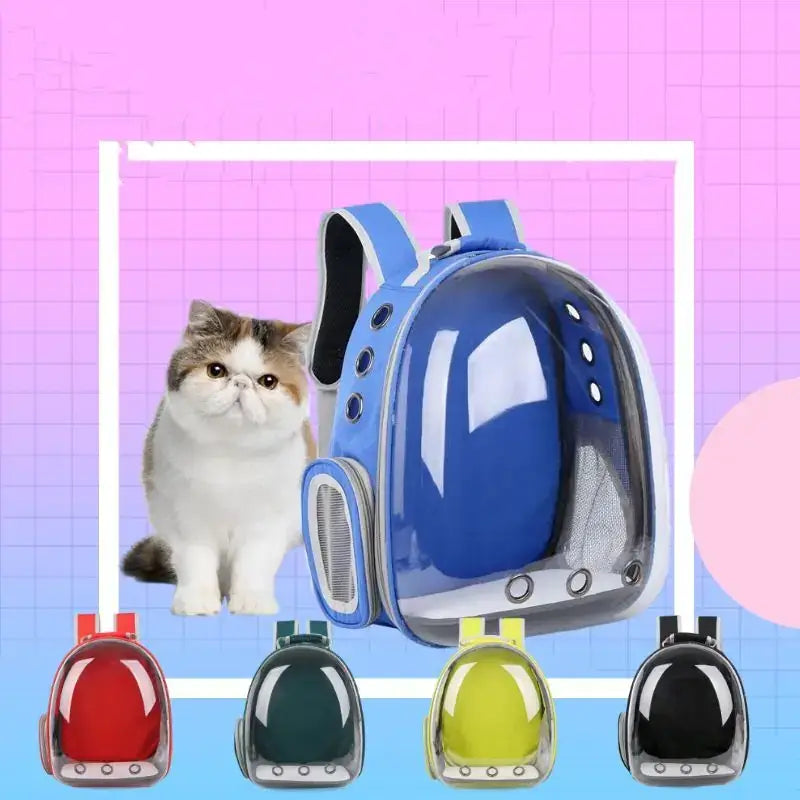Transparent Pet Backpack for Cats and Small Dogs