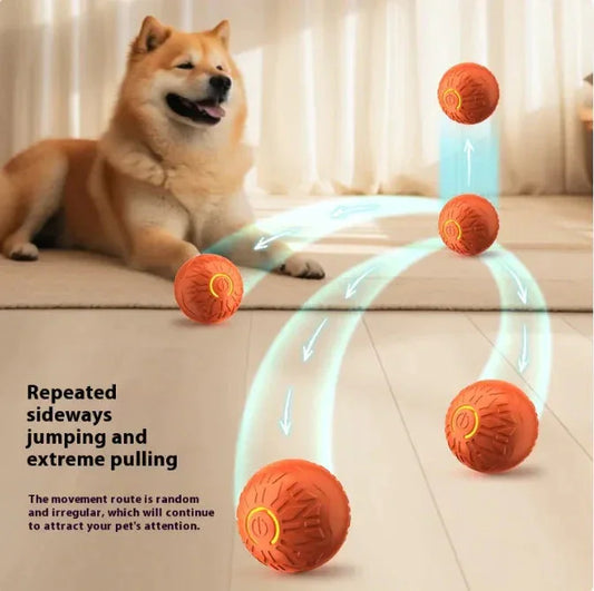 Pets Electric Jumping Ball Pets Dogs Training Products ZENDROP